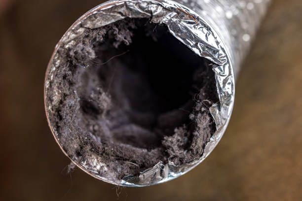 Best Air Duct Mold Removal  in Kempner, TX