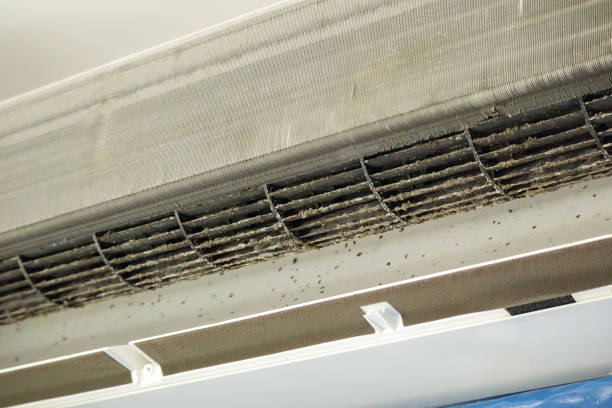 Best Professional Duct Cleaning Services  in Kempner, TX